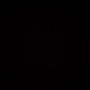 Meet your Posher, Sofia